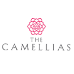the camellias dlf